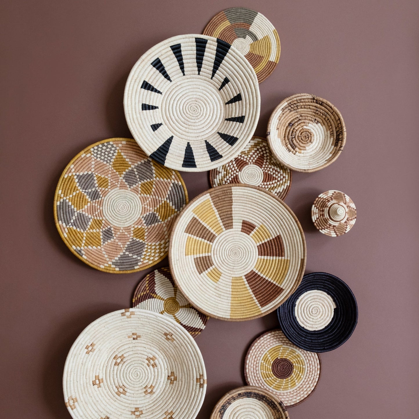 Nautilus Basket - Cultivate Collection